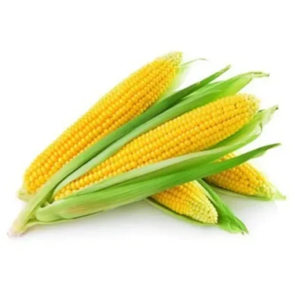 Baby Corn