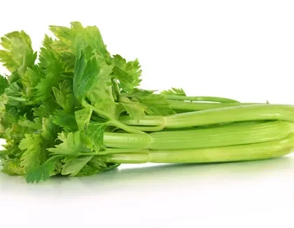 Celery