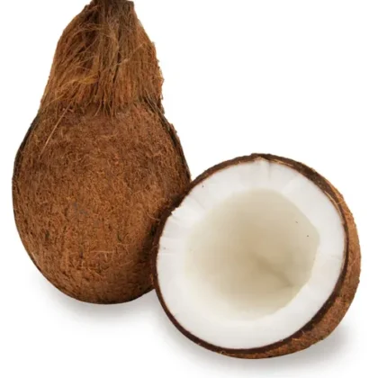 Coconut (Kobbari)