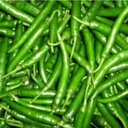 Dark Green Chillies