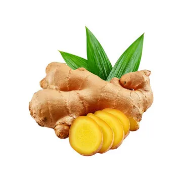 Ginger