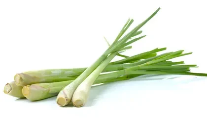 Lemon Grass