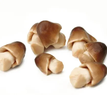 Mushrooms