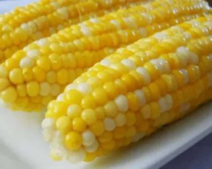 Sweet Corn