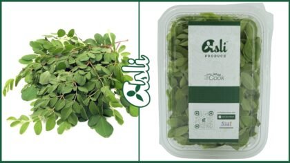 Moringa Leaves (Munagaku) 100gms